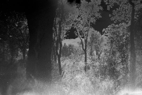 © Bruno Silva - Image from the Pego Negro photography project