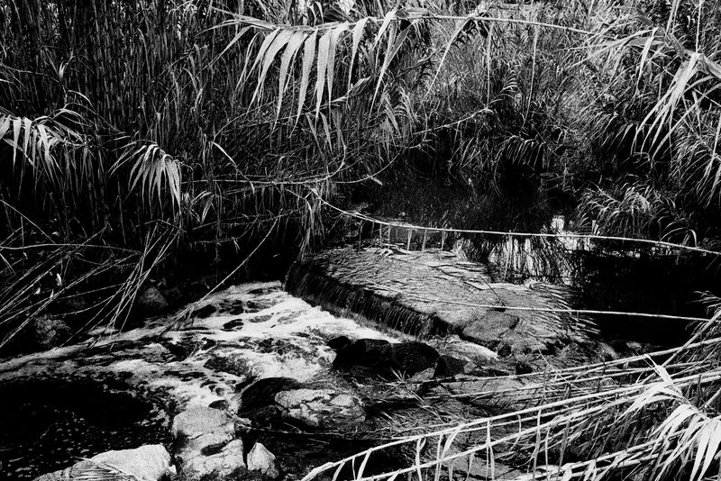 © Bruno Silva - Image from the Pego Negro photography project