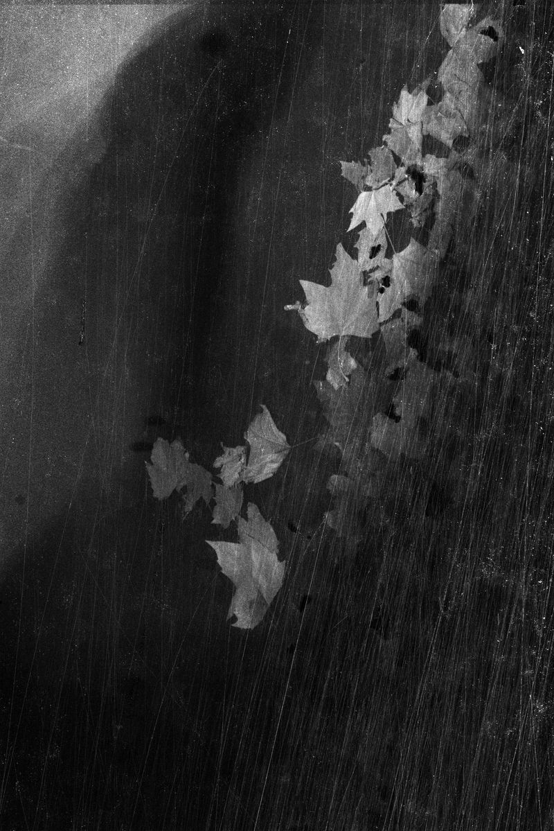 © Bruno Silva - Image from the Pego Negro photography project