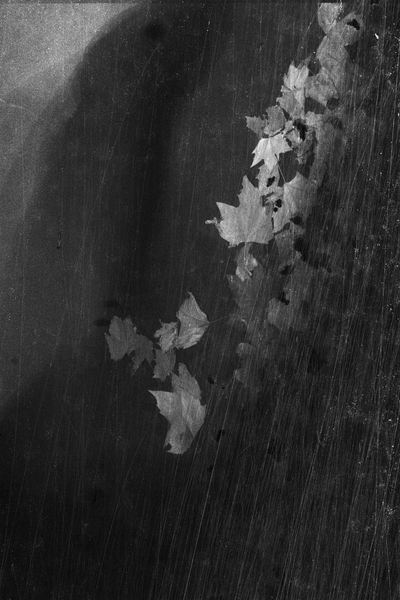 © Bruno Silva - Image from the Pego Negro photography project
