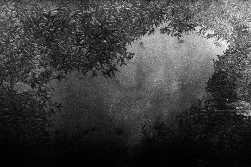 © Bruno Silva - Image from the Pego Negro photography project