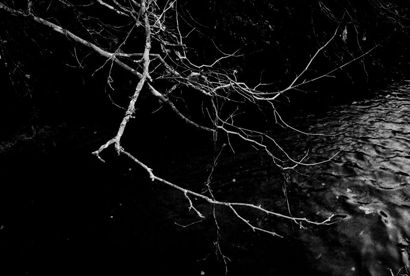 © Bruno Silva - Image from the Pego Negro photography project