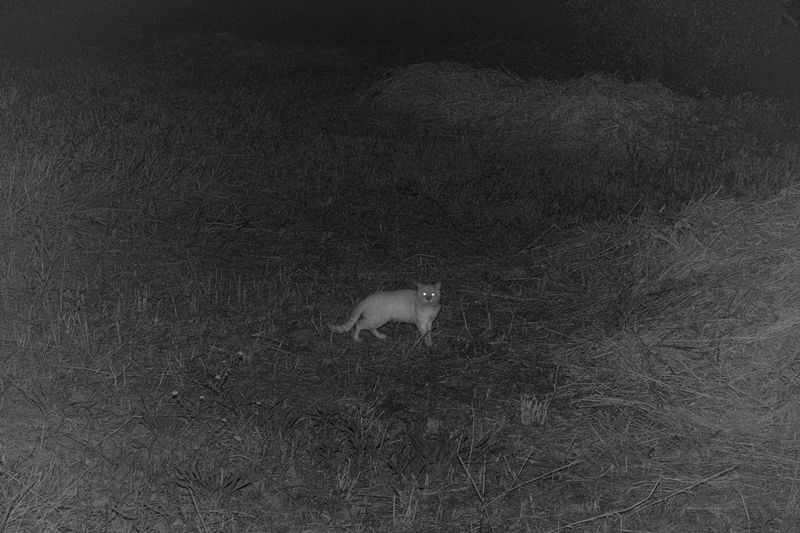 © Bruno Silva - Image from the Ermo photography project