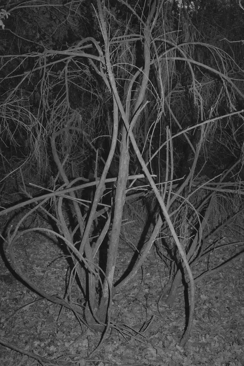 © Bruno Silva - Image from the Ermo photography project