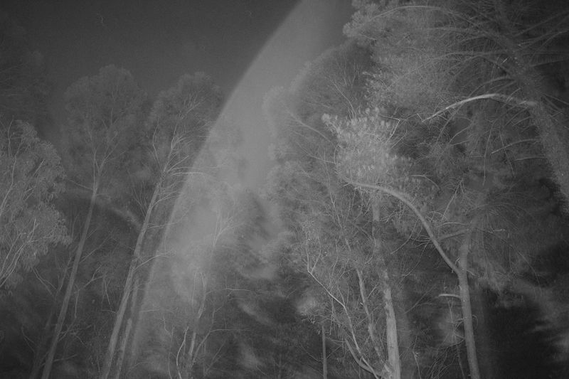 © Bruno Silva - Image from the Ermo photography project