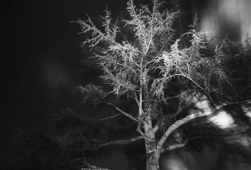 © Bruno Silva - Image from the Coimbra - B photography project