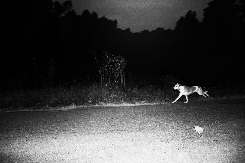 © Bruno Silva - Image from the Coimbra - B photography project