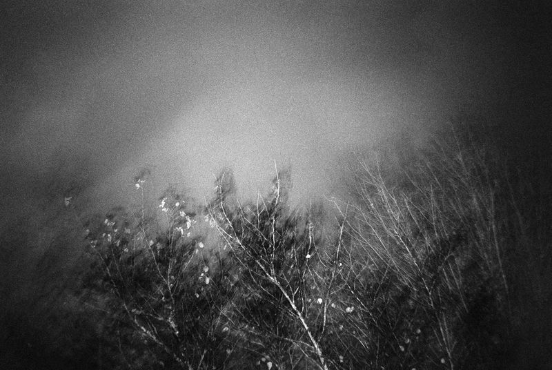 © Bruno Silva - Image from the Between Dawn and Permanence photography project