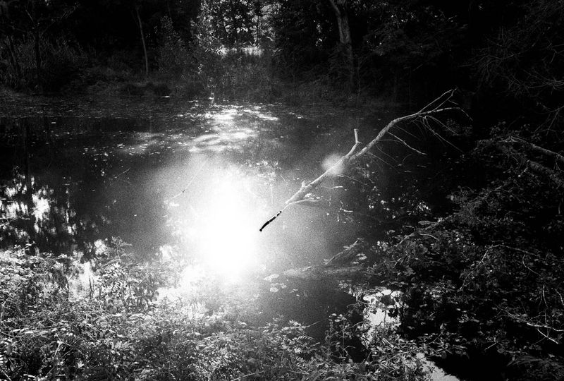 © Bruno Silva - Image from the Between Dawn and Permanence photography project