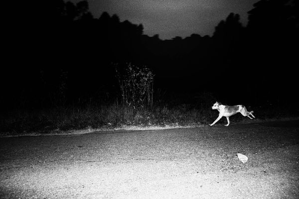 © Bruno Silva - Image from the Between Dawn and Permanence photography project