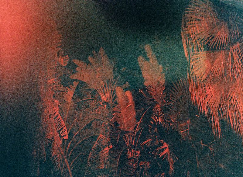 © Bruno Silva - Image from the Between Dawn and Permanence photography project