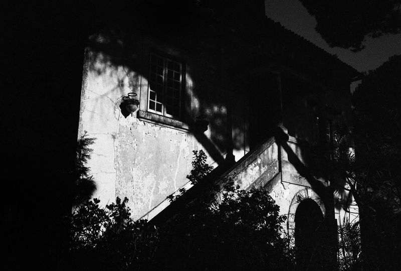© Bruno Silva - Image from the Between Dawn and Permanence photography project