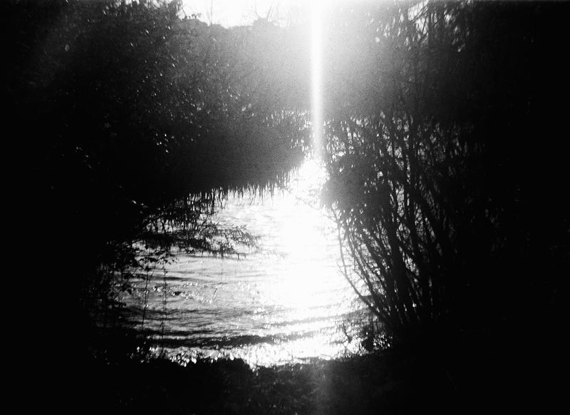 © Bruno Silva - Image from the Between Dawn and Permanence photography project