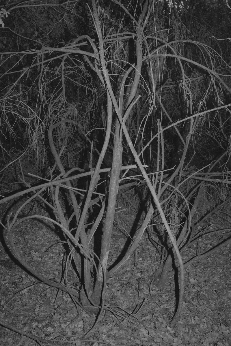 © Bruno Silva - Image from the Ermo photography project