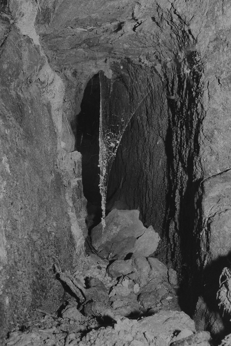 © Bruno Silva - Image from the Ermo photography project