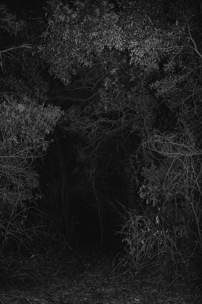 © Bruno Silva - Image from the Ermo photography project