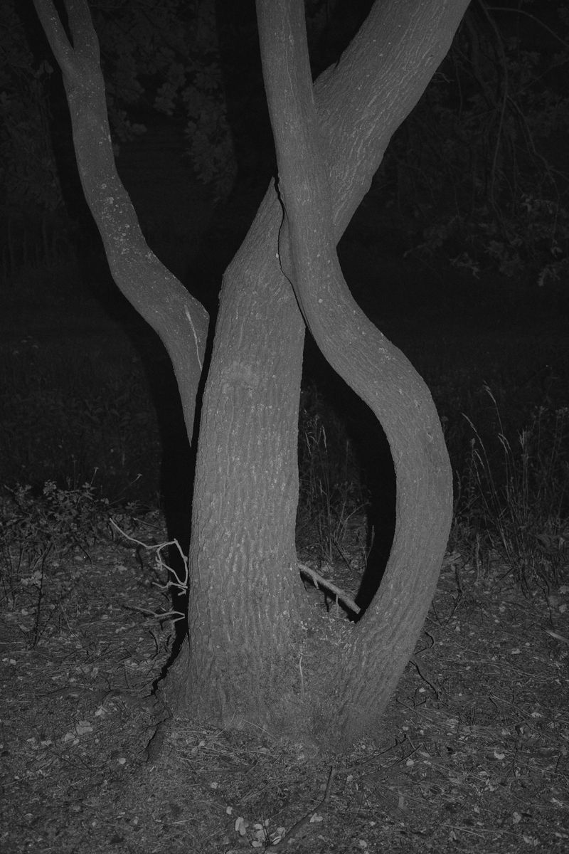 © Bruno Silva - Image from the Ermo photography project