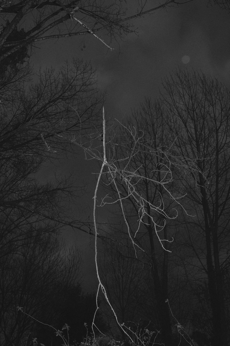 © Bruno Silva - Image from the Ermo photography project