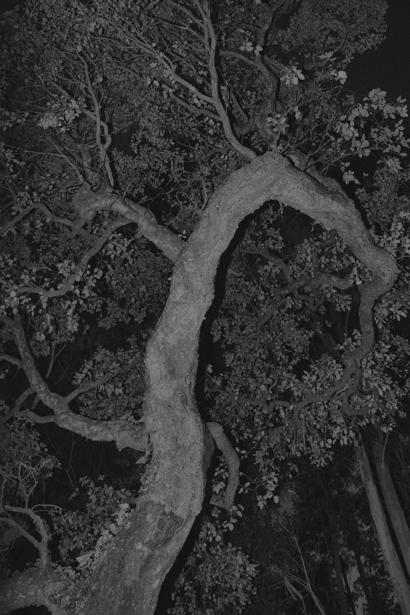 © Bruno Silva - Image from the Ermo photography project