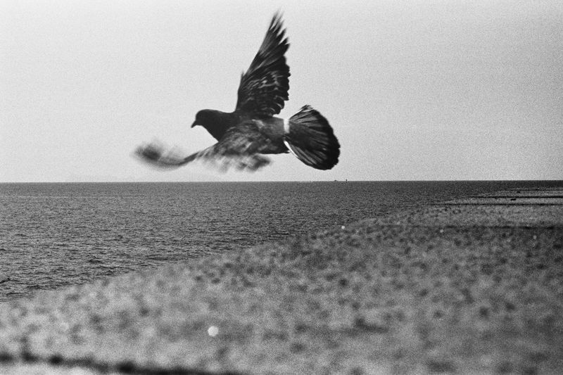 © Umberto Verdoliva - Image from the The missing stars. photography project