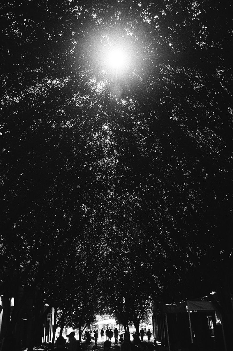 © Umberto Verdoliva - Image from the La Cantata dei giorni dispari photography project