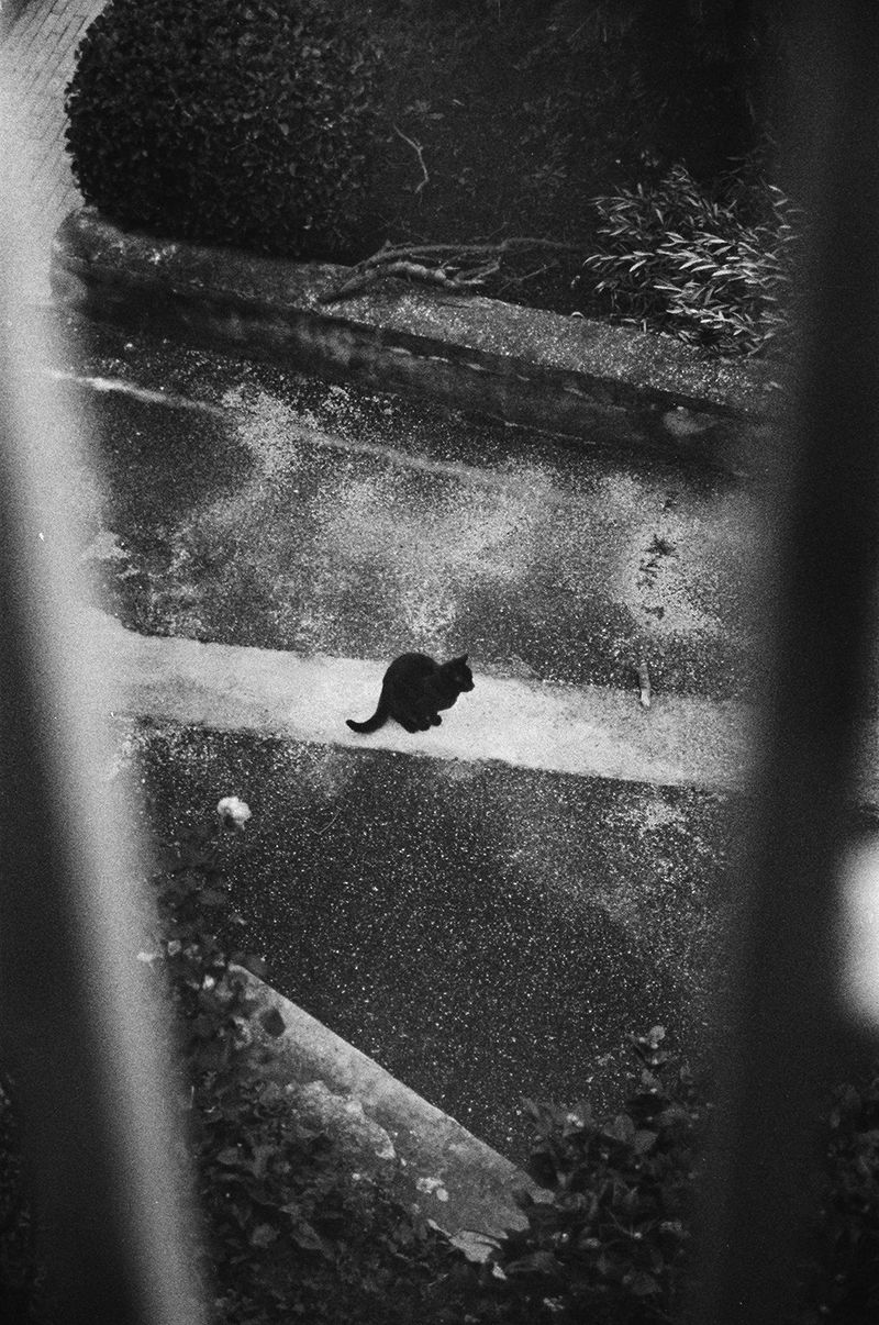 © Umberto Verdoliva - Image from the 2020 photography project