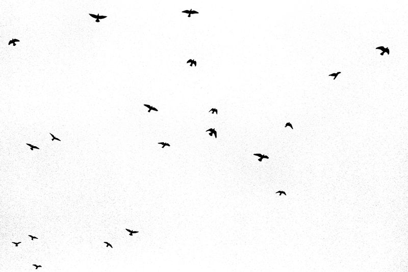 © Umberto Verdoliva - Image from the 2020 photography project