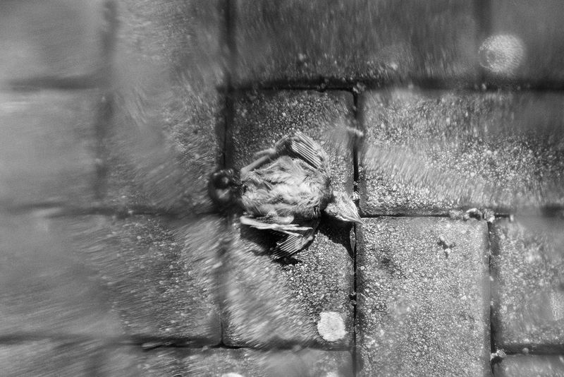 © Umberto Verdoliva - Image from the lock down photography project