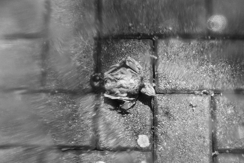 © Umberto Verdoliva - Image from the lock down photography project