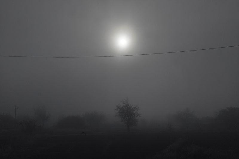 © Valery Melnikov - Front-line village of Ozerianovka. Donetsk region , Ukraine