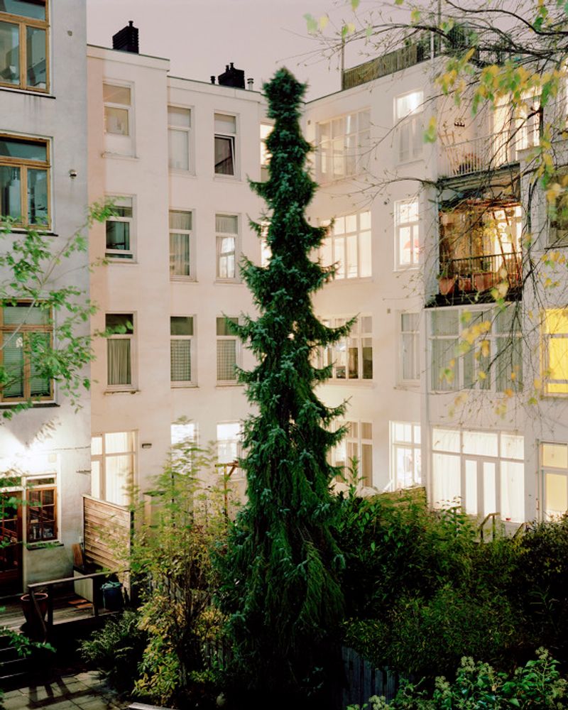 © Jordi Huisman - Image from the Rear Window photography project