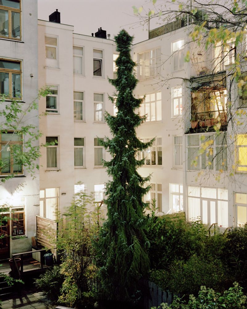 © Jordi Huisman - Image from the Rear Window photography project