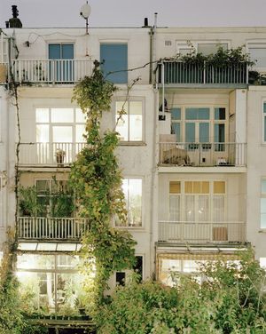 Rear Window