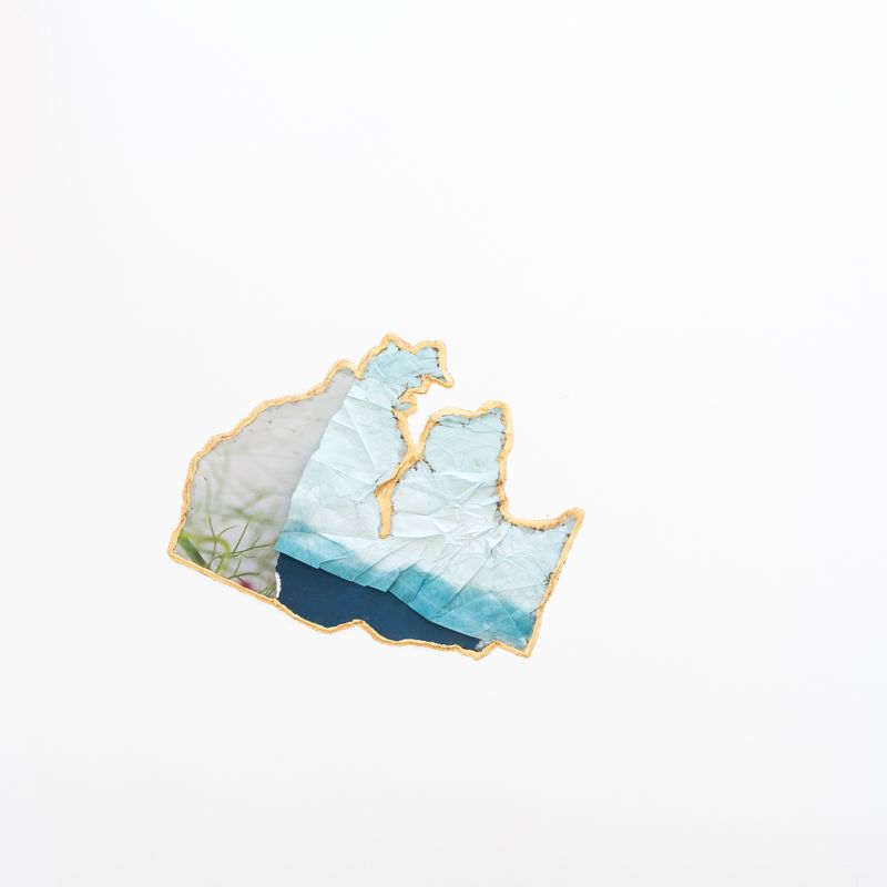 © Morvarid K - Ecotone 14 50x65cm Unique piece Fragmented photo prints on various paper, rice powder, urushi lacquer and 24ca gold powder