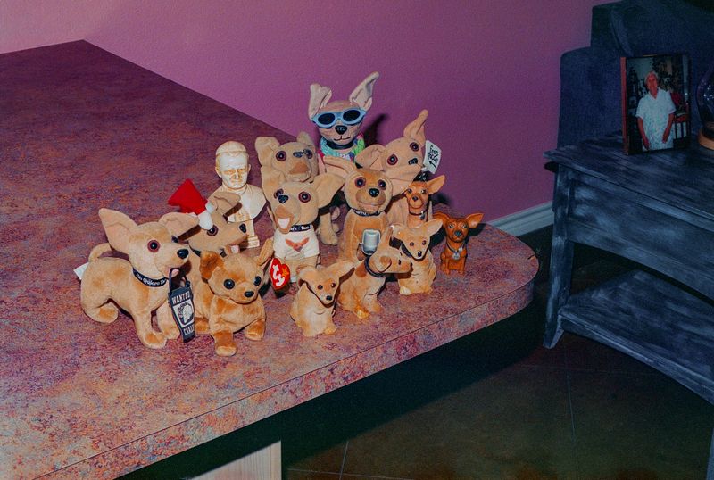 © Deb Leal - Image from the Abre Camino photography project