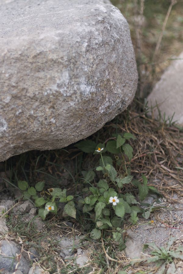 © Gianfranco Suito - Image from the An Infinite Horizon Of Possibilities photography project