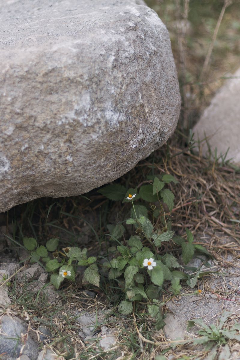 © Gianfranco Suito - Image from the An Infinite Horizon Of Possibilities photography project