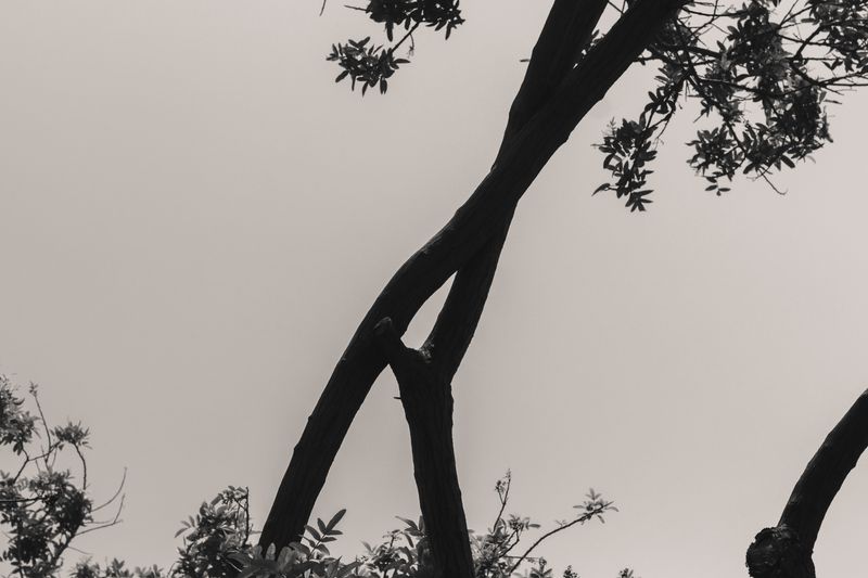 © Gianfranco Suito - Image from the An Infinite Horizon Of Possibilities photography project