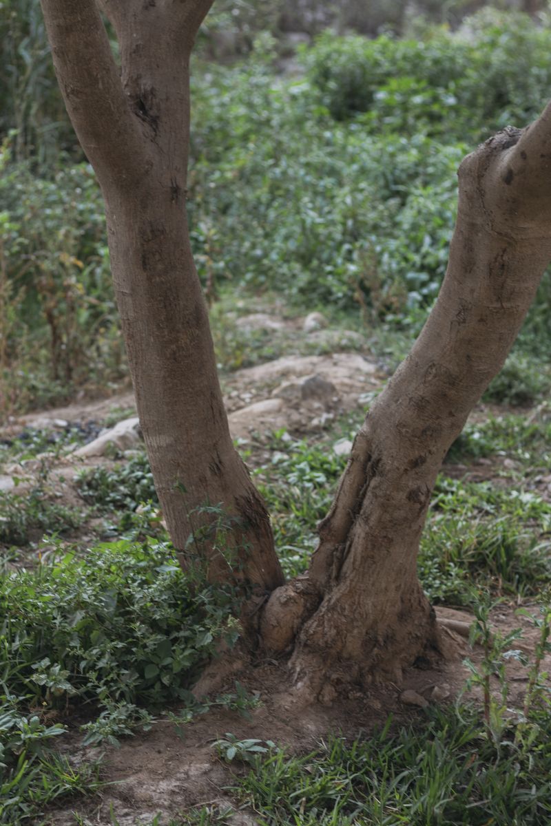 © Gianfranco Suito - Image from the An Infinite Horizon Of Possibilities photography project