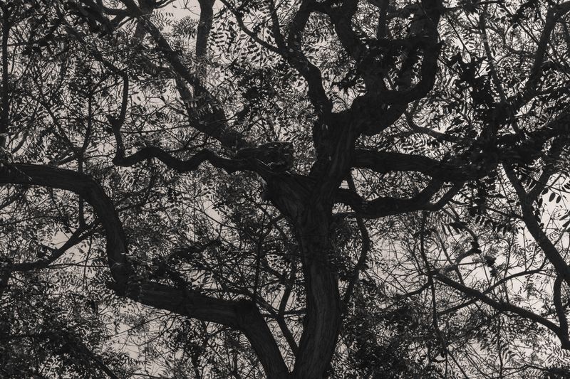 © Gianfranco Suito - Image from the An Infinite Horizon Of Possibilities photography project