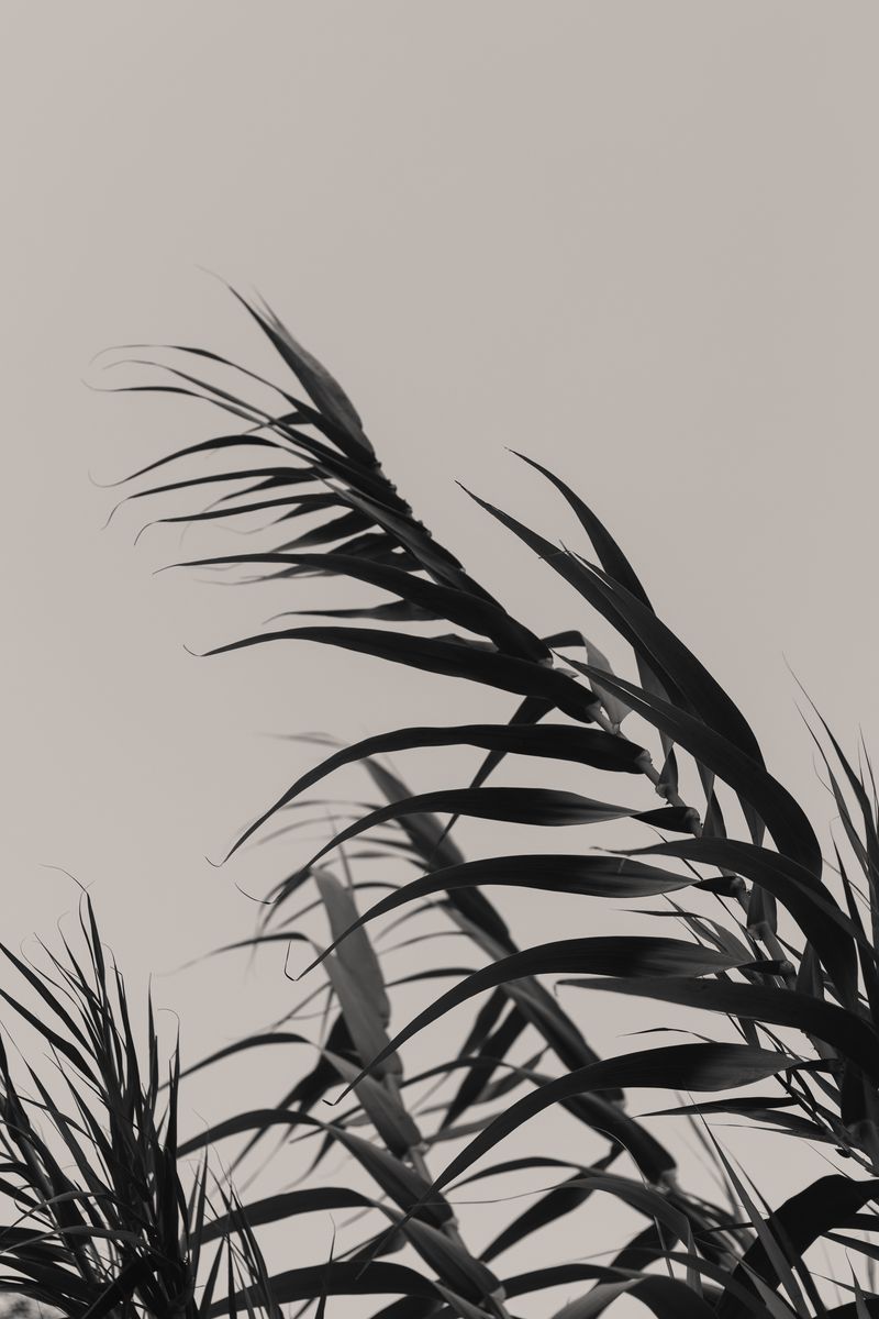 © Gianfranco Suito - Image from the An Infinite Horizon Of Possibilities photography project