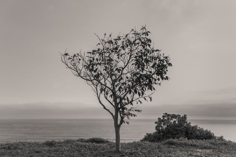 © Gianfranco Suito - Image from the An Infinite Horizon Of Possibilities photography project