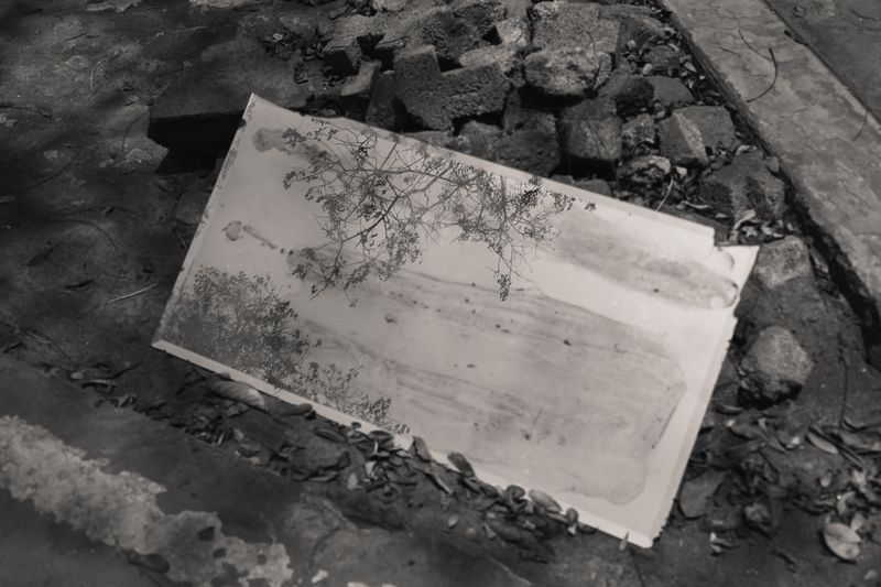 © Gianfranco Suito - The fragile mirror stands out against the robust concrete and offers a glimpse at a hopeful future.