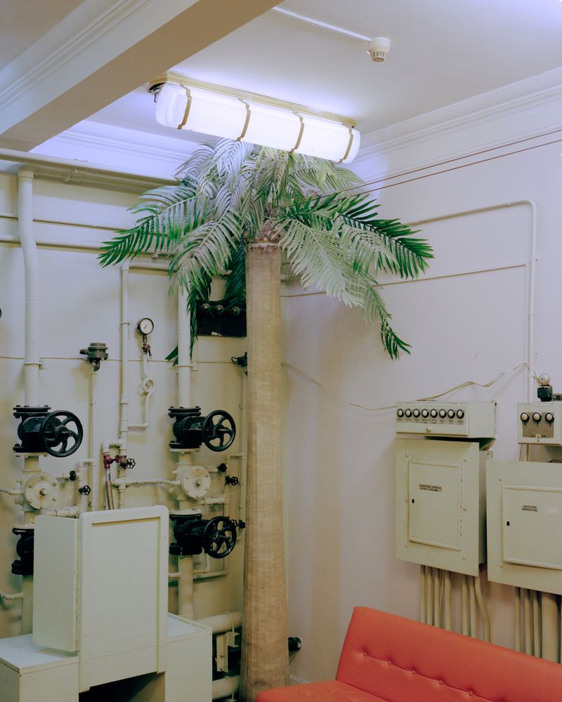 © Jacek Fota - Palms at the Studio Theatre smoking room, left behind after performance