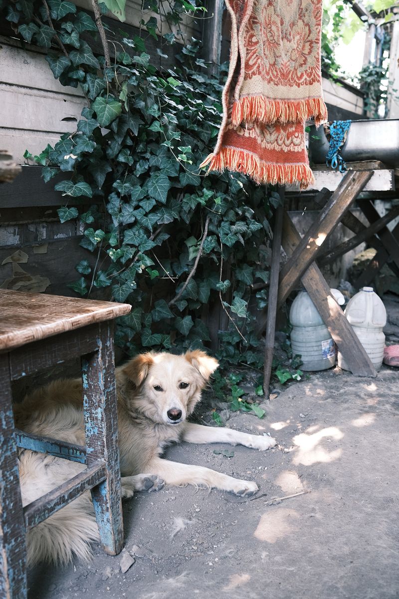 © Elena Kalyuzhnaya - Image from the Home that doesn't exist photography project