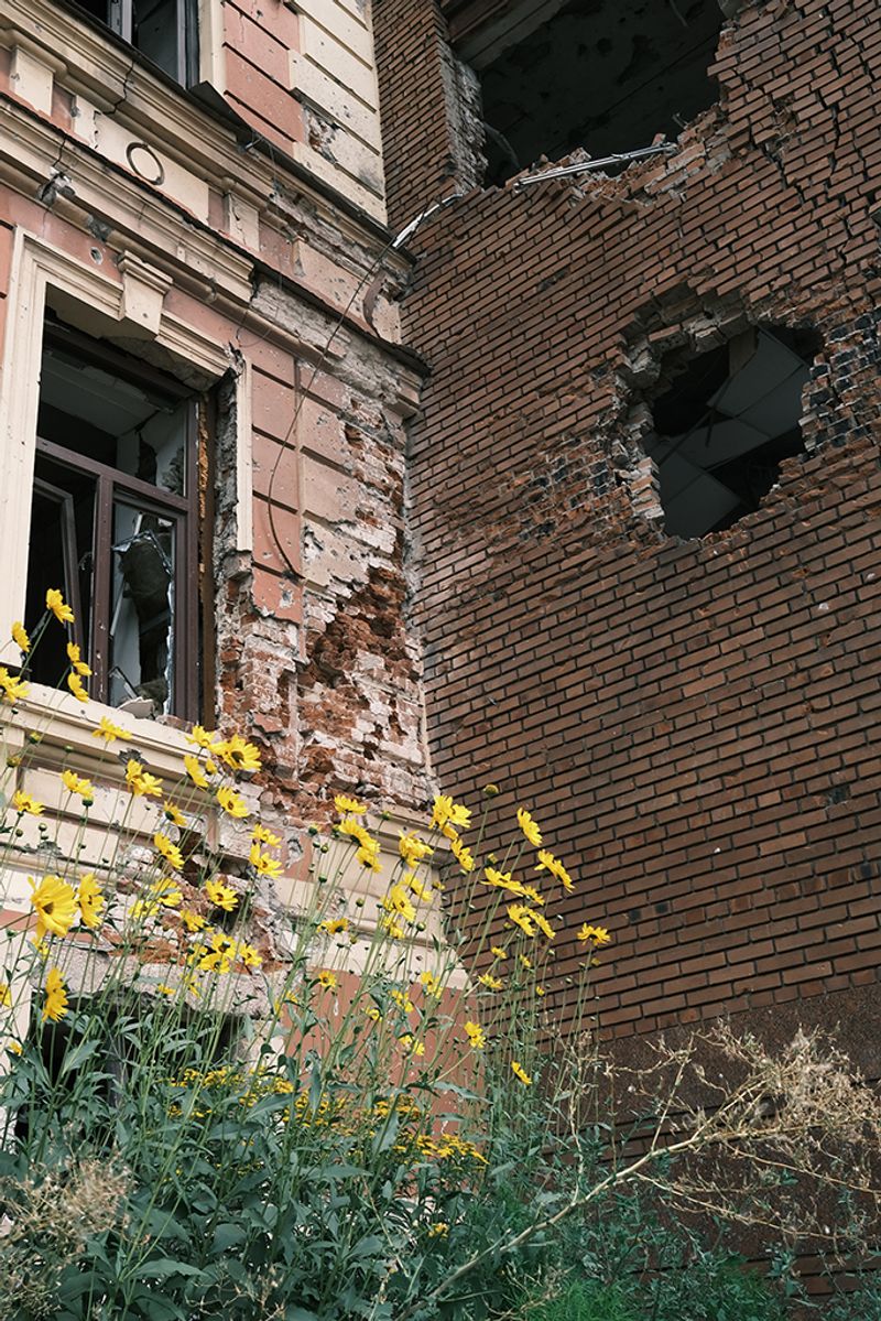 © Elena Kalyuzhnaya - Image from the Home that doesn't exist photography project