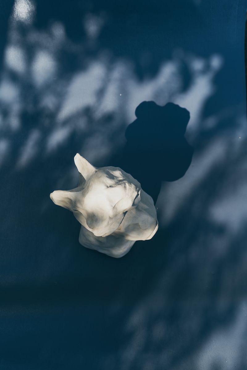 © Franziska Peters - Image from the Salutogenese photography project