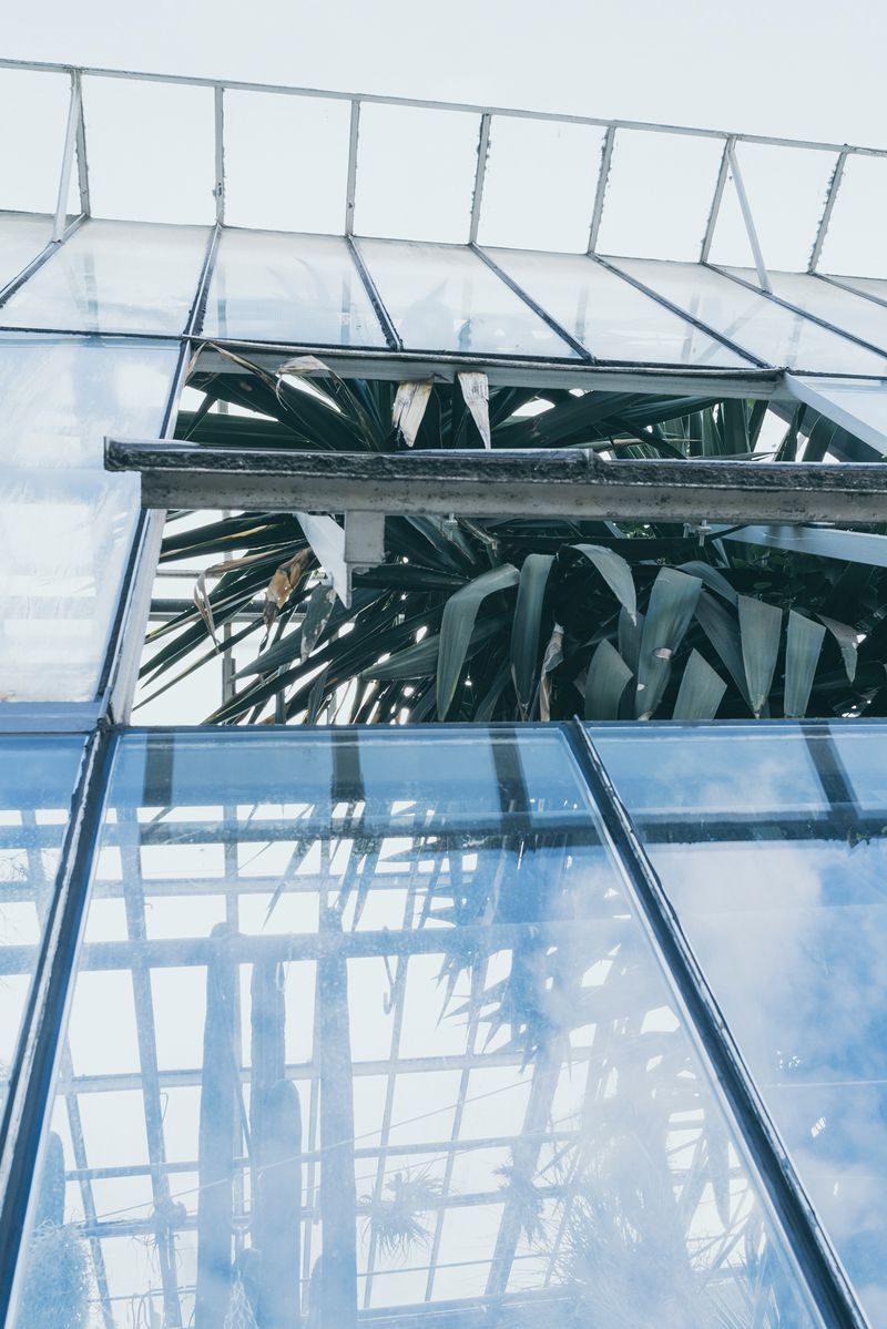 © Franziska Peters - Image from the Salutogenese photography project