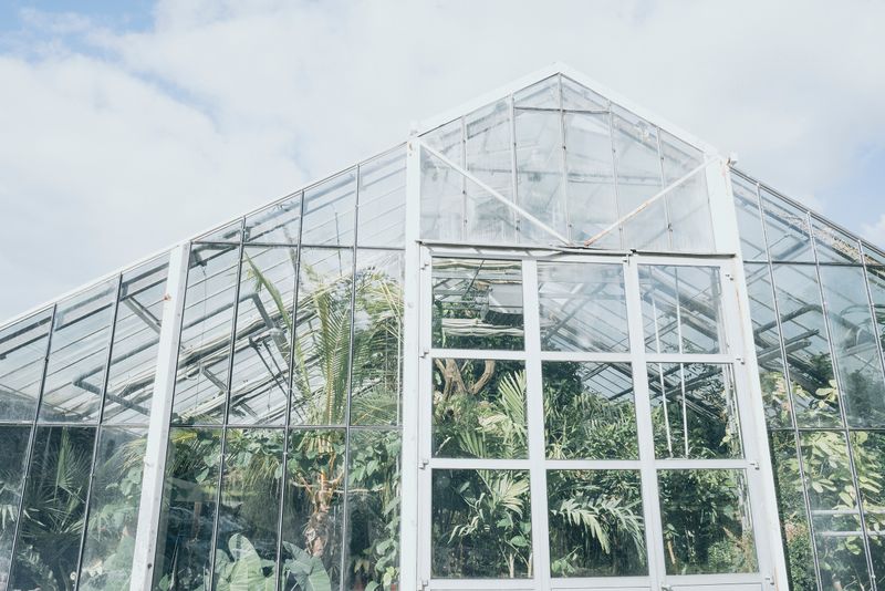 © Franziska Peters - Image from the Salutogenese photography project