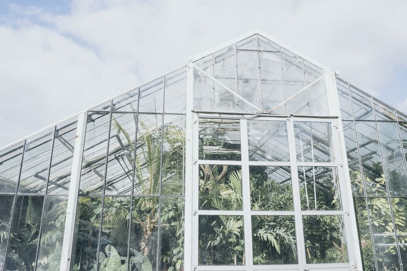 © Franziska Peters - Image from the Salutogenese photography project